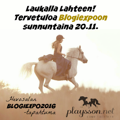 http://www.playsson.net/tapahtuma/blogiexpo2016/